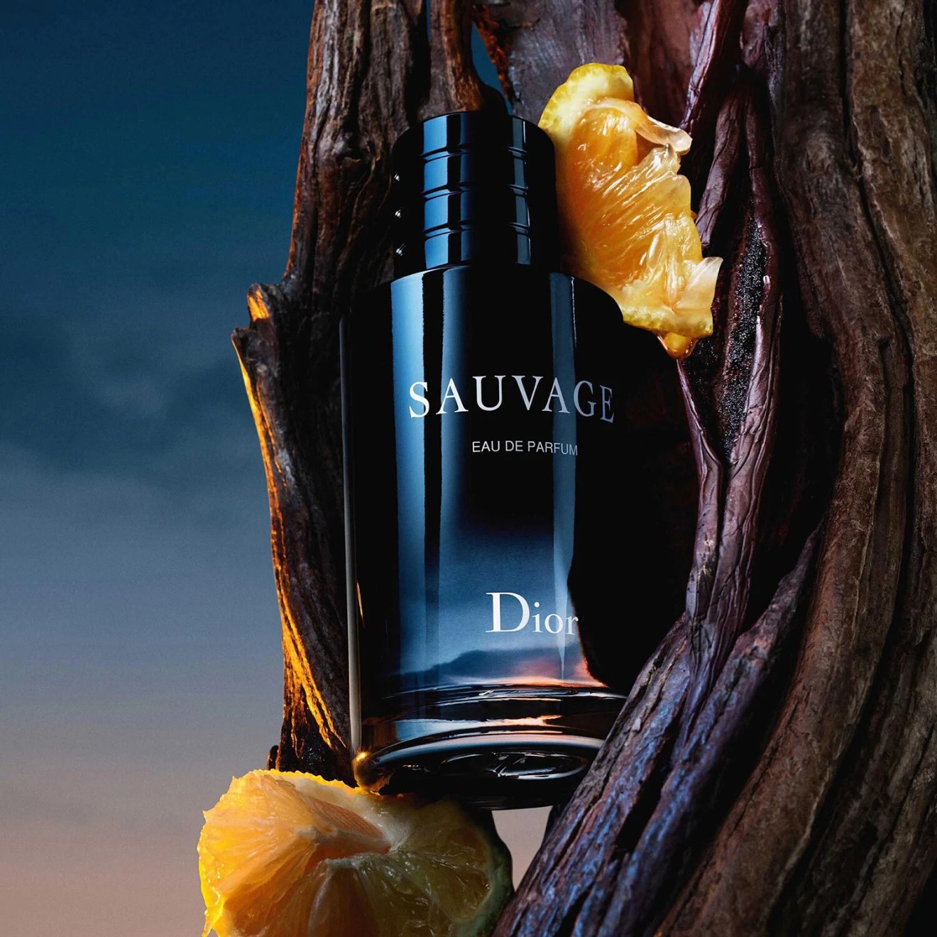 Sauvage Dior