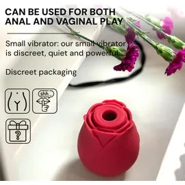 Stimulateur Clitoridien